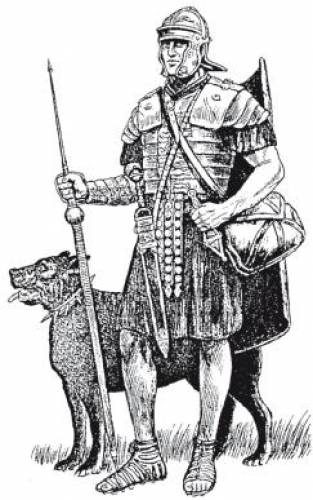 Бойові собаки давнину зображення бойові собаки - використовувалися в боях армій періоду