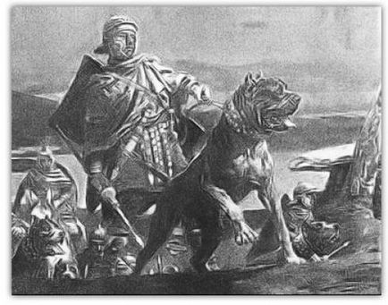Câinii de luptă din imaginea antichității câinilor luptători - folosiți în bătăliile armate ale perioadei