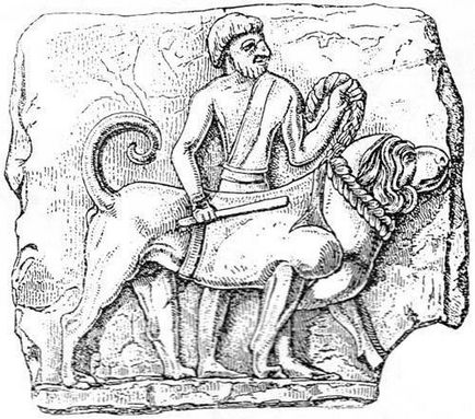 Câinii de luptă din imaginea antichității câinilor luptători - folosiți în bătăliile armatelor din perioada respectivă