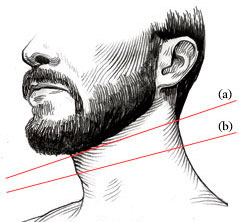 Борода і лінія шиї, life4beard