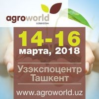 Британські корови страждають від надмірної ваги