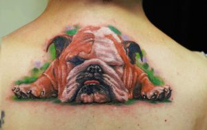 Bulldog tatuaj (valoare, schițe, fotografie), tattoofot