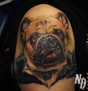 Bulldog tatuaj (valoare, schițe, fotografie), tattoofot