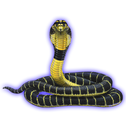 Templul șarpelui