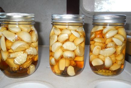 Supă de usturoi pe rețetă și proprietăți de preparare a laptelui