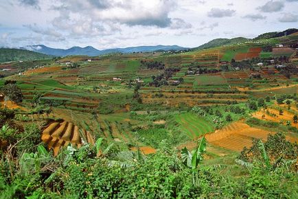 Mi a teendő Phan Thiet (piaci) Mi a teendő Phan Thiet