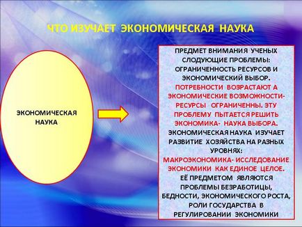 Ce reprezintă studiul economic - prezentarea 1107-7