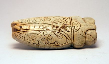 Cicada - amulet de protecție și asistent în timpul schimbărilor, vântului și apei