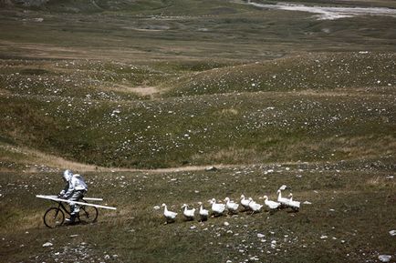 Дарина пархоменко десять знакових творів science art - дарья пархоменко - культура - матеріали