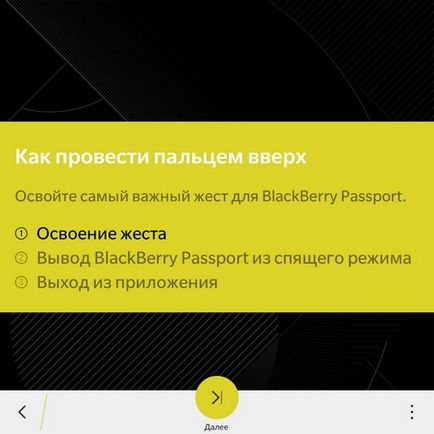 Revizuirea detaliată a pașaportului pentru pașaportul smartphone
