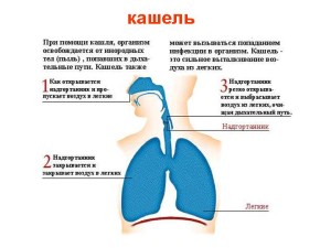 Ефективне лікування кашлю і нежиті