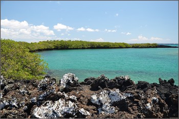 Insulele Galapagos - un ghid pentru unde să stați și multe altele