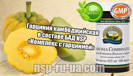 Гарцинія камбоджійська - лікувальні властивості, екстракт гарцинии в бад для схуднення