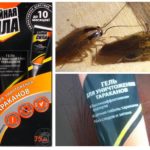 Gel de la gândaci mortal vigoare - comentarii și instrucțiuni de utilizare