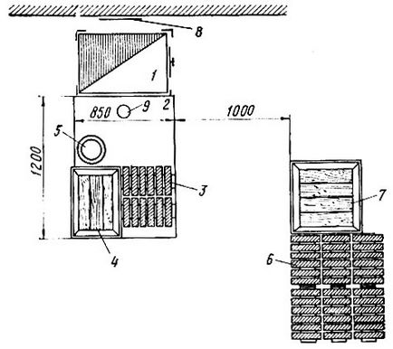 Capitolul xvii