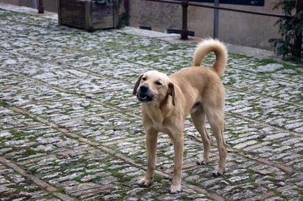 Orașul Erice, o altă perlă din Sicilia