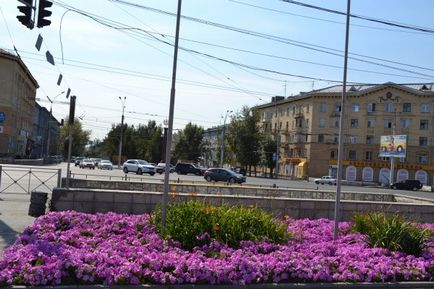 ДПНТБ СВ ран в Новосибірську - читальні зали, виставки, музей книги, фонтани