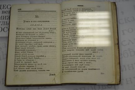 Gnntb de la răni din Novosibirsk - săli de lectură, expoziții, cărți muzeale, fântâni