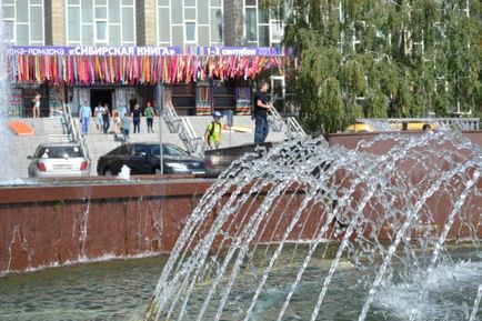 ДПНТБ СВ ран в Новосибірську - читальні зали, виставки, музей книги, фонтани