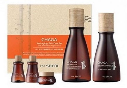 Chaga gomba - receptek infúziók és főzetek, hogyan kell főzni chaga