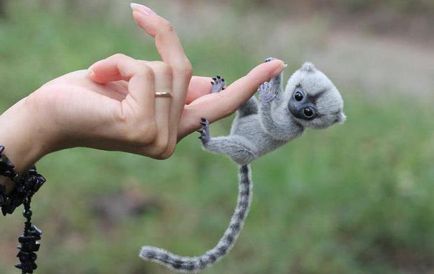 Igrinka - o maimuță mică cu ochi mari