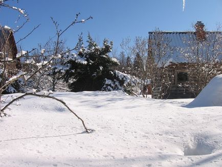 Curățenie de calitate a zăpezii în țară