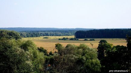 Як їхати в архангельське - здорово про красивому способі життя