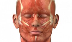 Ca cosmetologi se referă la partea centrală a feței unei persoane, a frunții, a nasului și a bărbiei