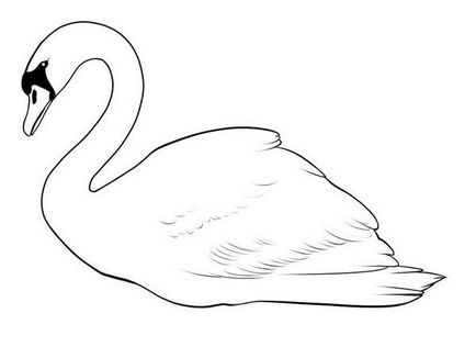 Як намалювати лебедя аквареллю