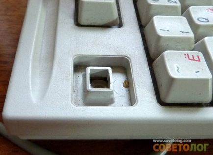 Cum de a curăța tastatura - sovietolog