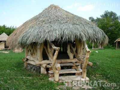 Cum să vă construiți propriile arbori de lemn la dacha va spune o clasă de master cu o fotografie