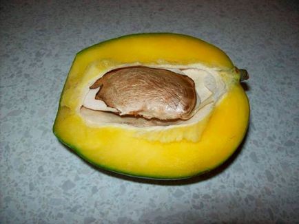 Cum să germineze mango-ul de la un os acasă