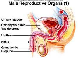 Cum este tratată prostatita cu radon