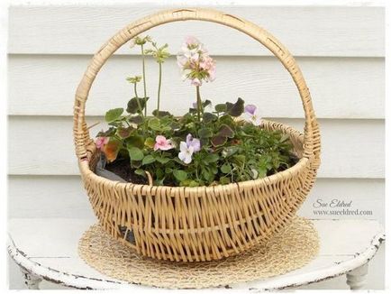 Cum să faci o grădină de flori elegantă dintr-un coș vechi