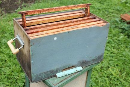 Cum sa faci o capcana pentru albine cu mainile tale - desene, asamblare, video