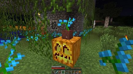 Cum de a face un jack lantern în Maynecraft cum să faci o lampă