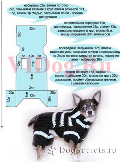 Hogyan kötött ruhák játék terrier kezével rendszerek - ruhák Toy terrier