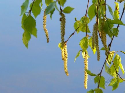 Cum să eliminați acneea