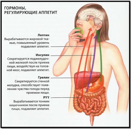 Як прибрати живіт повне убірательное керівництво