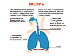 Cum de a vindeca o tuse la un copil ce să facă pentru a scăpa de ea rapid