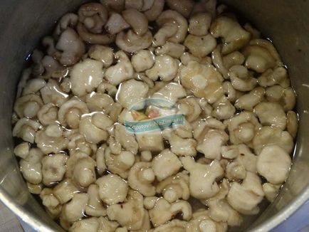 Cum să murăm ciupercile