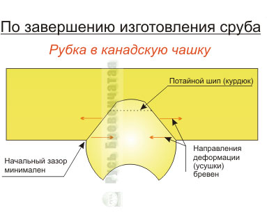 Канадська чаша і російська рубка зрубу