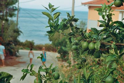 Kefalonia - a sziget legeldugottabb strandok, nagyszerű ételek és lenyűgöző táj - szia mir