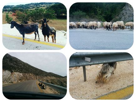 Kefalonia - a sziget legeldugottabb strandok, nagyszerű ételek és lenyűgöző táj - szia mir