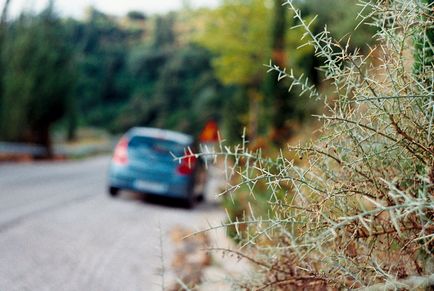 Kefalonia - o insulă de plajă pustie, delicioase mâncăruri și peisaje uimitoare - hello mir