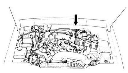 Kia Sportage, azonosító számok és adatok címkék, Kia sporteydzh