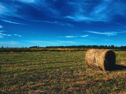 Компанія депутат держдуми Григорія Анікєєва зустріти великий квартал поруч з гіпермаркетом «глобус