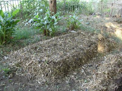 Compostând foarte mult cu propriile mâini ideile originale ale unui rezident experimentat de vară