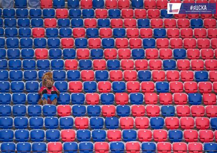 Câine războinic la stadion pfk cca, foto - foto - știri pfk cska