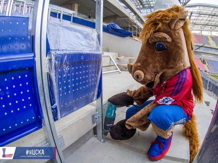 Ló harcos stadion CSKA, fotó - fotók - Hírek CSKA Moscow